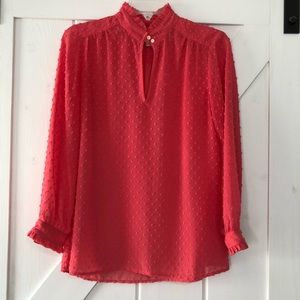 Super Cute J Crew Sheer Blouse